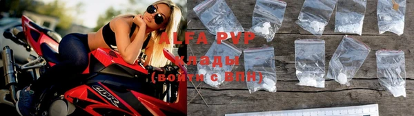 стафф Осташков