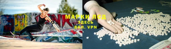 стафф Осташков