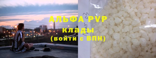 стафф Осташков