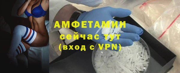 стафф Осташков