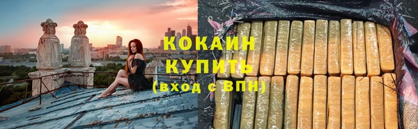 трава Осинники