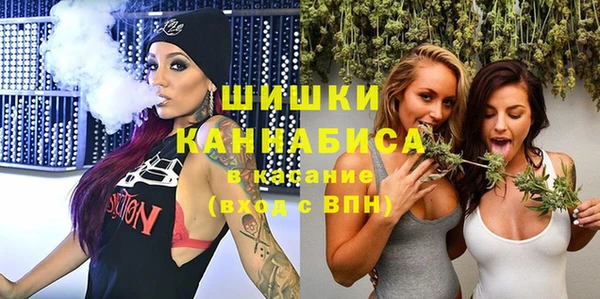трава Осинники