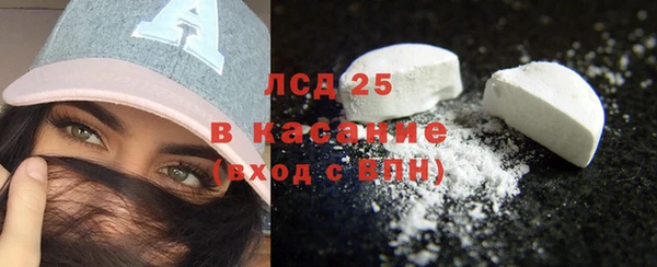 трава Осинники