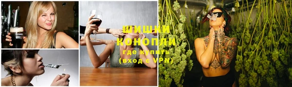 spice Новозыбков